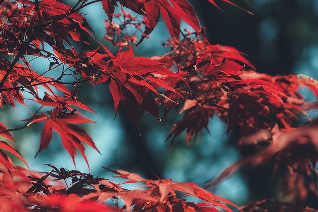 怎樣在pdf上面加水?。啃率植僮髦改? width=